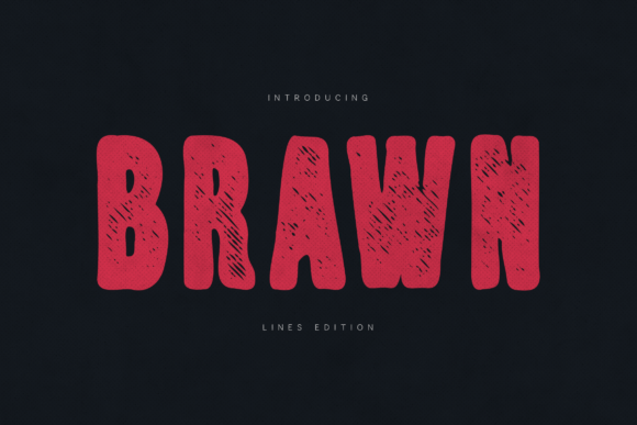 Brawn Display Font for Handmade Brands