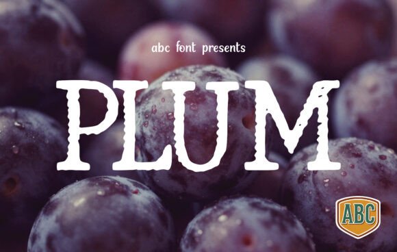 Plum: A Display Font That Adds Raw Character to Campaigns